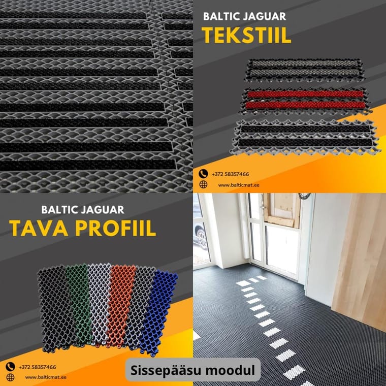 Moodul sissepääsumatid